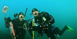 Using metagenomics as a treasure map